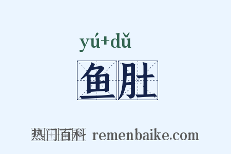 鱼肚是什么意思的图片